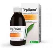 Lijekovi `Herbion` (plantažni sirup): upute za uporabu
