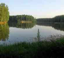 Šumsko jezero u Sergiev Posadu: ribolov, odmor na plaži, kako doći