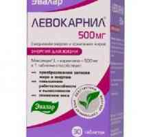 "Levocarnil 500 mg" (`Evalar`): recenzije, upute za upotrebu i sastav