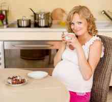 Lipa u trudnoći: najbolji recepti, korisna svojstva i značajke potrošnje