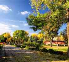 Lipetsk: Donji park. Povijest i opis objekta