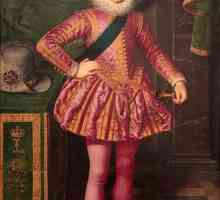 Louis XIII: Biografija