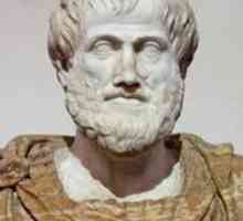 Aristotelova logika: temeljna načela
