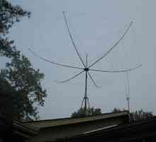 Logoperiodske antene: izračun veličina i glavnih karakteristika