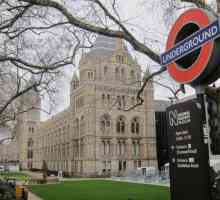 London, Prirodoslovni muzej - povijest života na Zemlji