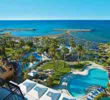 Lordos Beach Hotel 4 * (Larnaka, Cipar): opis i recenzije