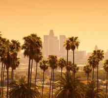 Los Angeles: stanovništvo. Broj, rasni i etnički sastav, imigranti