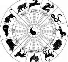 Konj i zmija: kompatibilnost znakova zodijaka