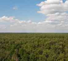 Park Losinoostrovsky: prirodni biser Moskve regije