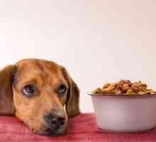Najbolja hrana za četveronožne prijatelje je pas Pro Pro hrane
