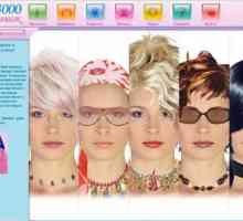 Najbolji program za odabir boje kose - pregled, specifikacije i recenzije