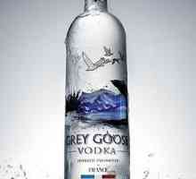 Najbolji na svijetu vodka `Grey Goose`