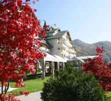Najbolji hoteli u Sočiju: fotografije i recenzije gostiju