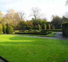 Najbolji parkovi u Londonu: St. James, Hyde Park, Richmond, Victoria, Kensington Gardens, Green Park
