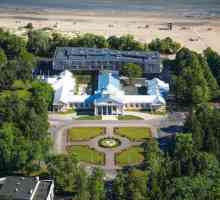 Najbolji spa hoteli u Estoniji: fotografije i recenzije