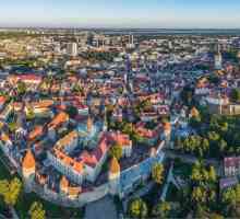 Najbolji trgovački centri u Tallinnu: fotografije i recenzije