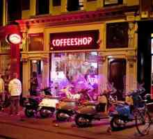 Najbolji coffeeshop u Amsterdamu: upute za početnike, vrste i recenzije