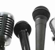 Najbolji mikrofon za blogera: pregled, značajke, značajke i recenzije