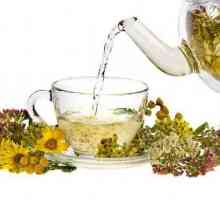 Najbolji biljni čaj: recepti. Kod kuće kako napraviti ljekovito čaj