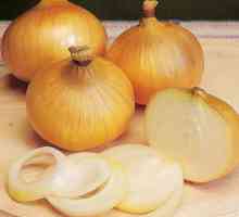 Onion Centurion: Variety Opis