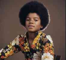 Michael Jackson u mladosti. Biografija, osobni život, kreativnost