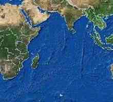 Maksimalna i prosječna dubina Indijskog oceana. Reljef dna Indijskog oceana
