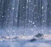 Maksimalna količina padalina padne u kojem dijelu planeta?