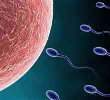 Sperma neaktivna: uzroci i liječenje
