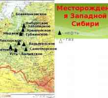 Mamontovskoye naftno i plinsko polje: mjesto, povijest i značajke