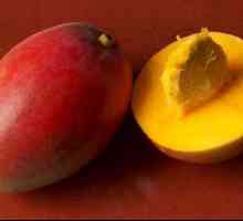 Mango (voće): opis i fotografija. Gdje raste mango? Prednosti i štete Mango