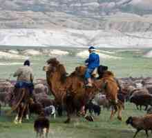 Mangyshlak je poluotok u Kazahstanu. Opis i fotografija