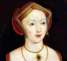 Maria Boleyn: biografija i poznati roman za ljepotu