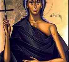 Мария Египетская. Икона и краткая история земной жизни