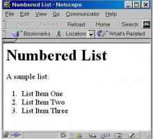 Označen i numeriran popis HTML-a