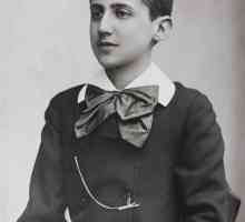 Marcel Proust: biografija, kreativnost, ideje djela