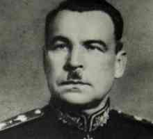 Maršal Sovjetskog Saveza Govorov Leonid Alexandrovich: biografija, nagrade
