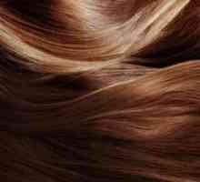 Konstantno užitak kose za bojanje: opis i osobine