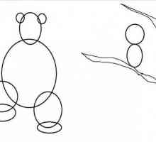 Učiteljska klasa `Kako nacrtati Masha i medvjeda`
