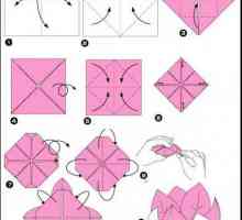 Master klasa, kako napraviti Lotus origami
