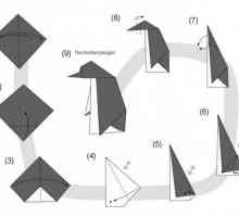 Master class, kako napraviti originalni origami pingvin