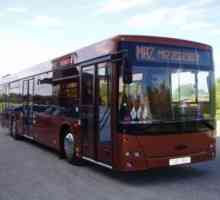 MAZ-203 - udobni gradski autobus sa tri vrata s više sjedala