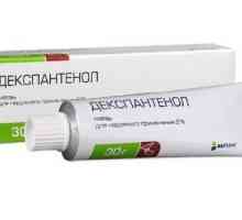 Mast `Dexpanthenol`. Upute za uporabu, recenzije, opis, analoge