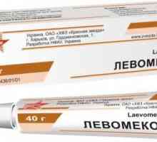 Pomast `Levomekol`: za što se koristi droga?