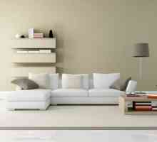 Namještaj i sofe u stilu minimalizma: ideje i fotografije
