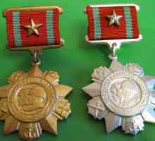 Medalja `Za razlike u vojnoj službi `: povijest i modernost