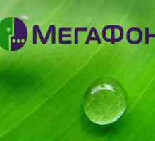 `Megaphone`, tarifa` Univerzalna tvrtka`: opis, usluge i odgovori