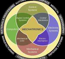 Mehatronika - što je to? Osnove mehatronike. Mehatronika i robotika (specijalnost): s kime raditi?