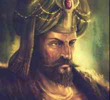 Mehmed II: biografija turskog sultana
