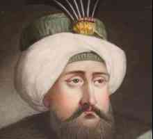 Mehmed IV: devetnaesti sultan Osmanskog carstva