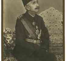 Mehmed VI. Vahidedin - posljednji Sultan Osmanskog Carstva